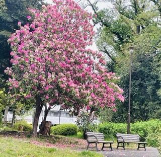 ���l�̓� 6.12����