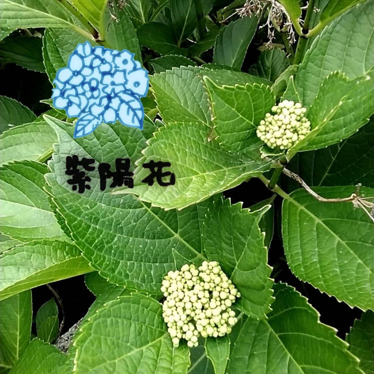 ���z�Ԃ��炭�̂͂�������