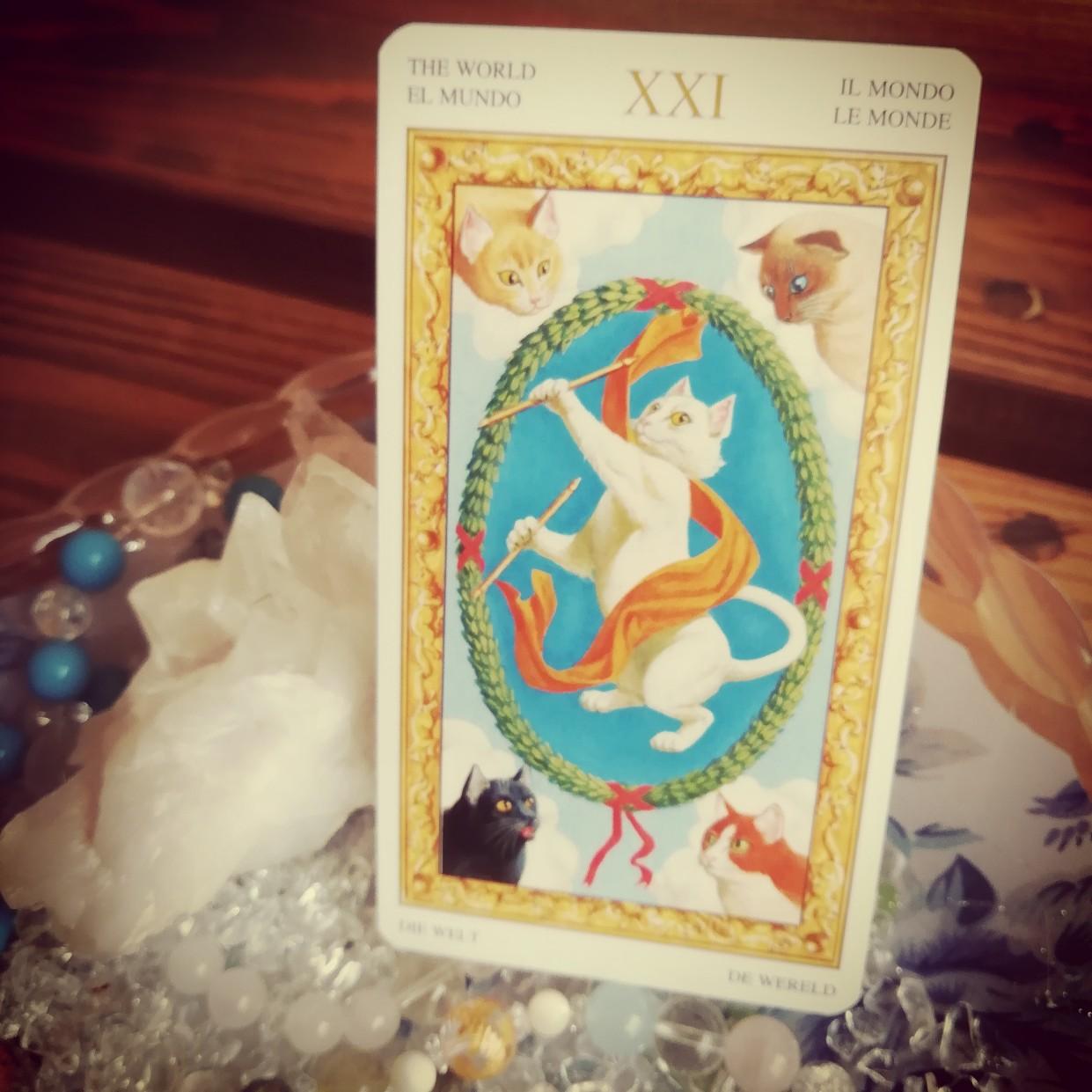 �^���b�g�J�[�h�u���E�v�̂��̂�����