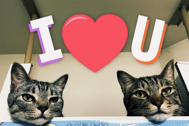 ���b�L�[�̈Î�.R4.01.03�A����