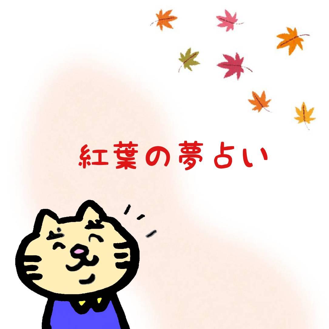 �g�t�̖��肢�I �i�L���M*�j