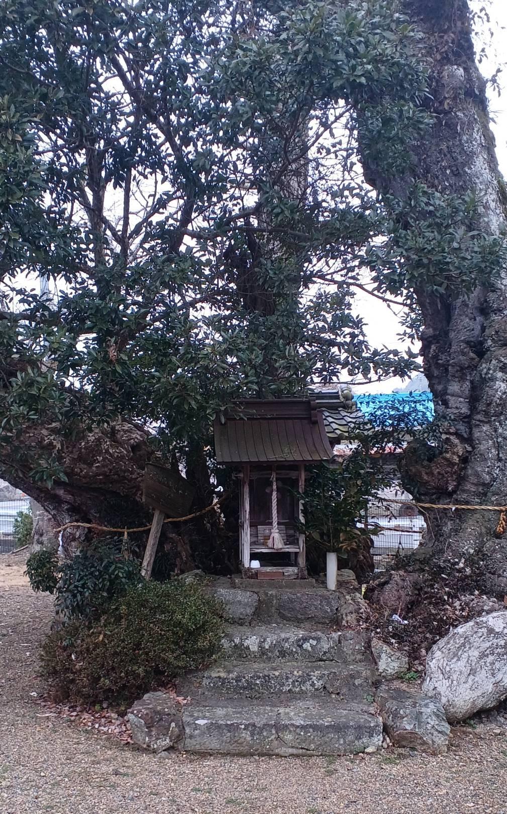 �R��4���@�^��