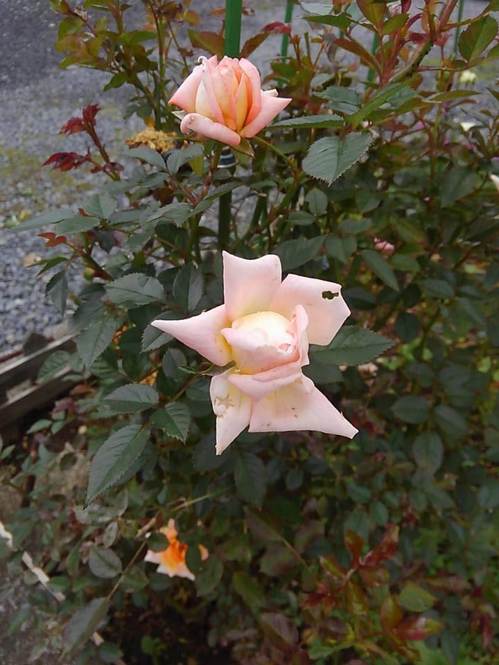 �����������G����