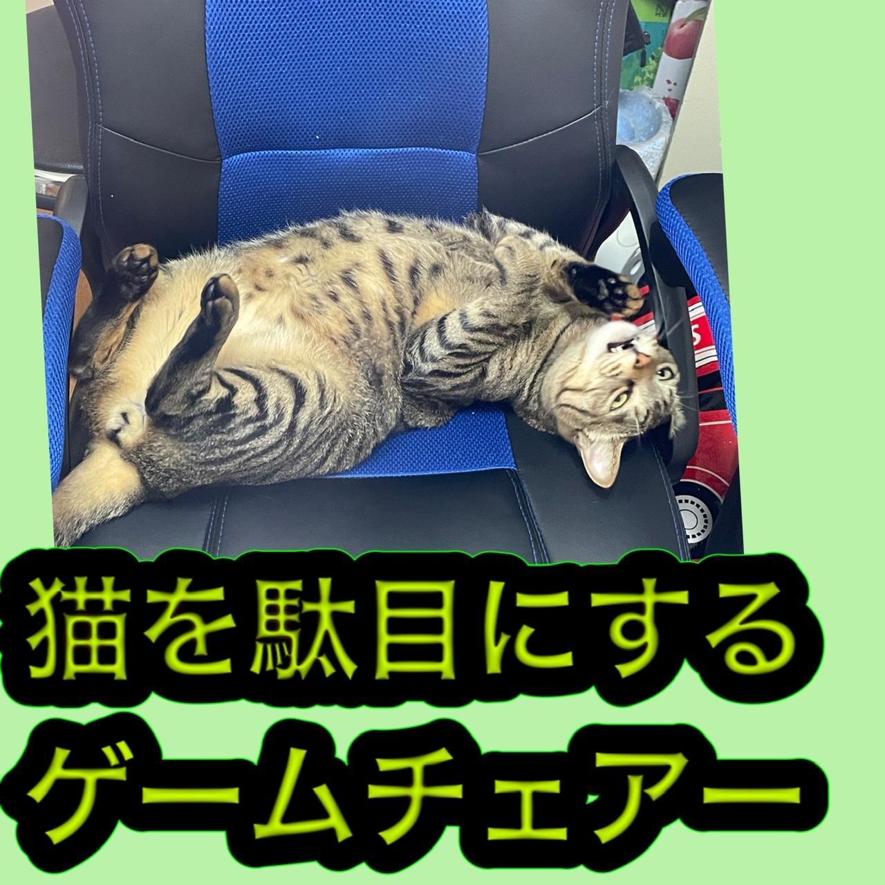 �y�^���b�g�zR3.12�^7(��)����