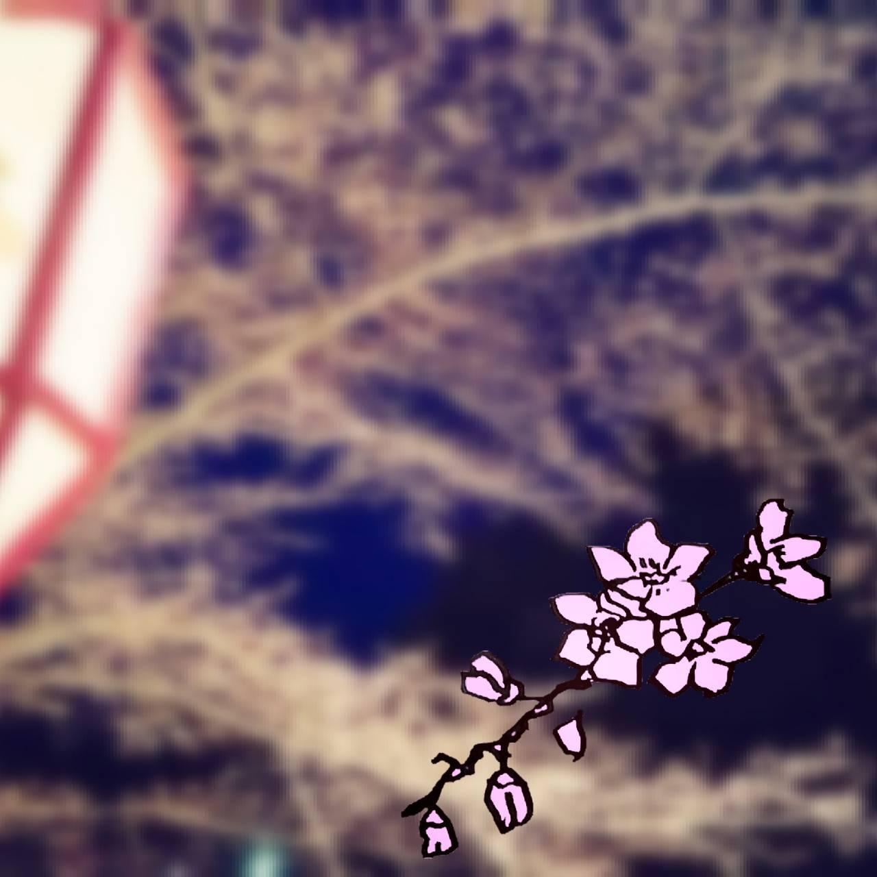 2�N�Ԃ�ɖ�������̗\��