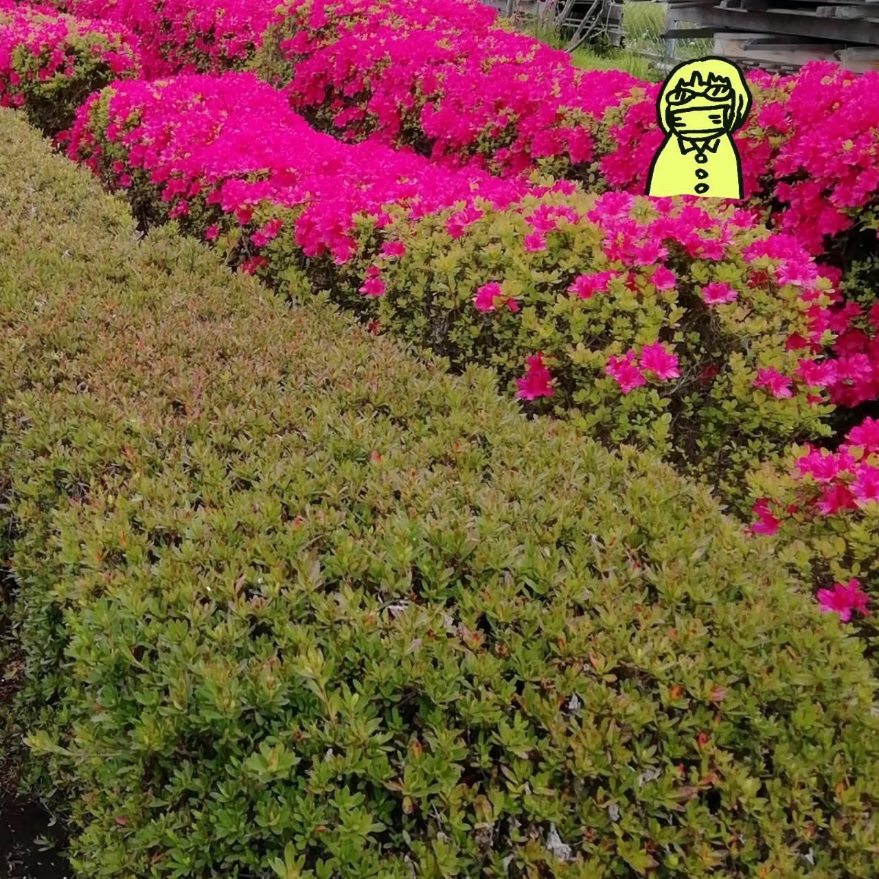 �Ȃ��3step!�Еt���X�C�b�`�̓����