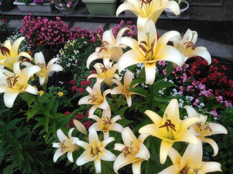 ���~�ł���