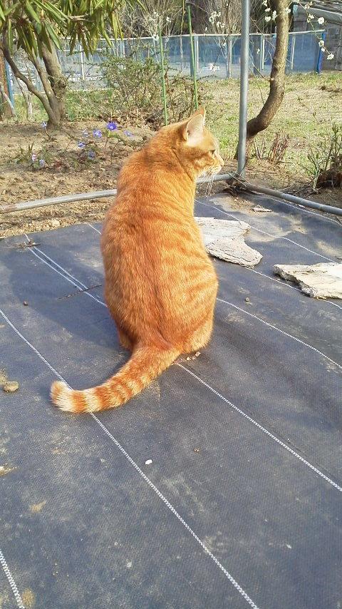 �u���O�������Ă��ėǂ�����(*'��')