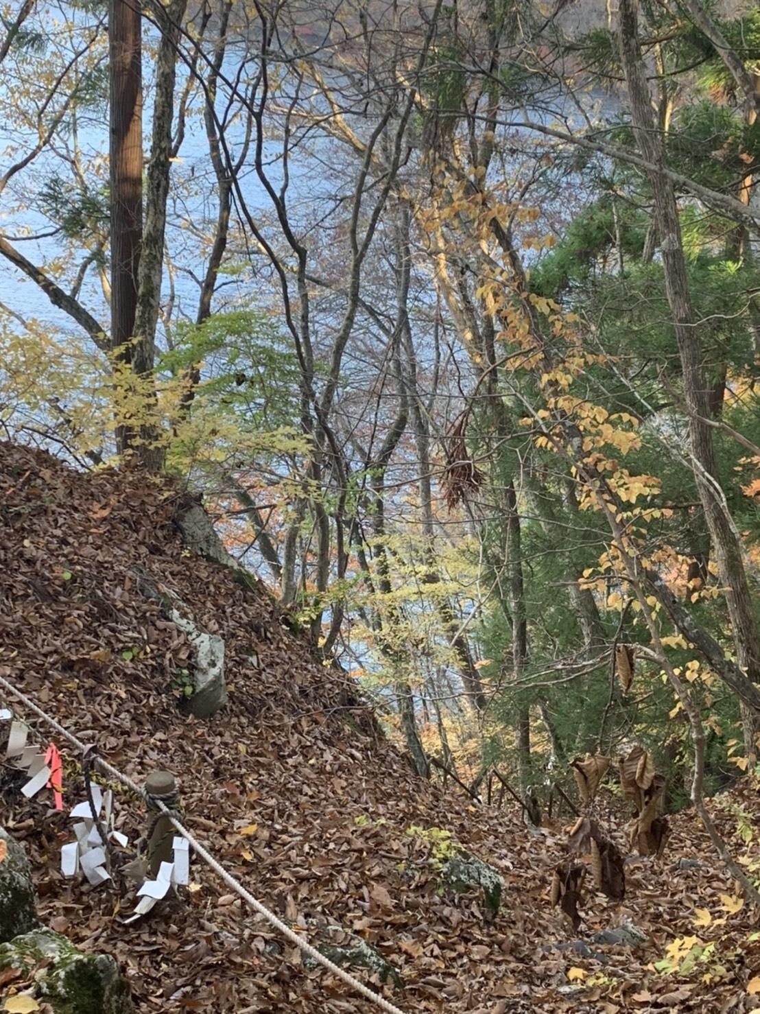 �΂̗͂̍����n�@202011����5