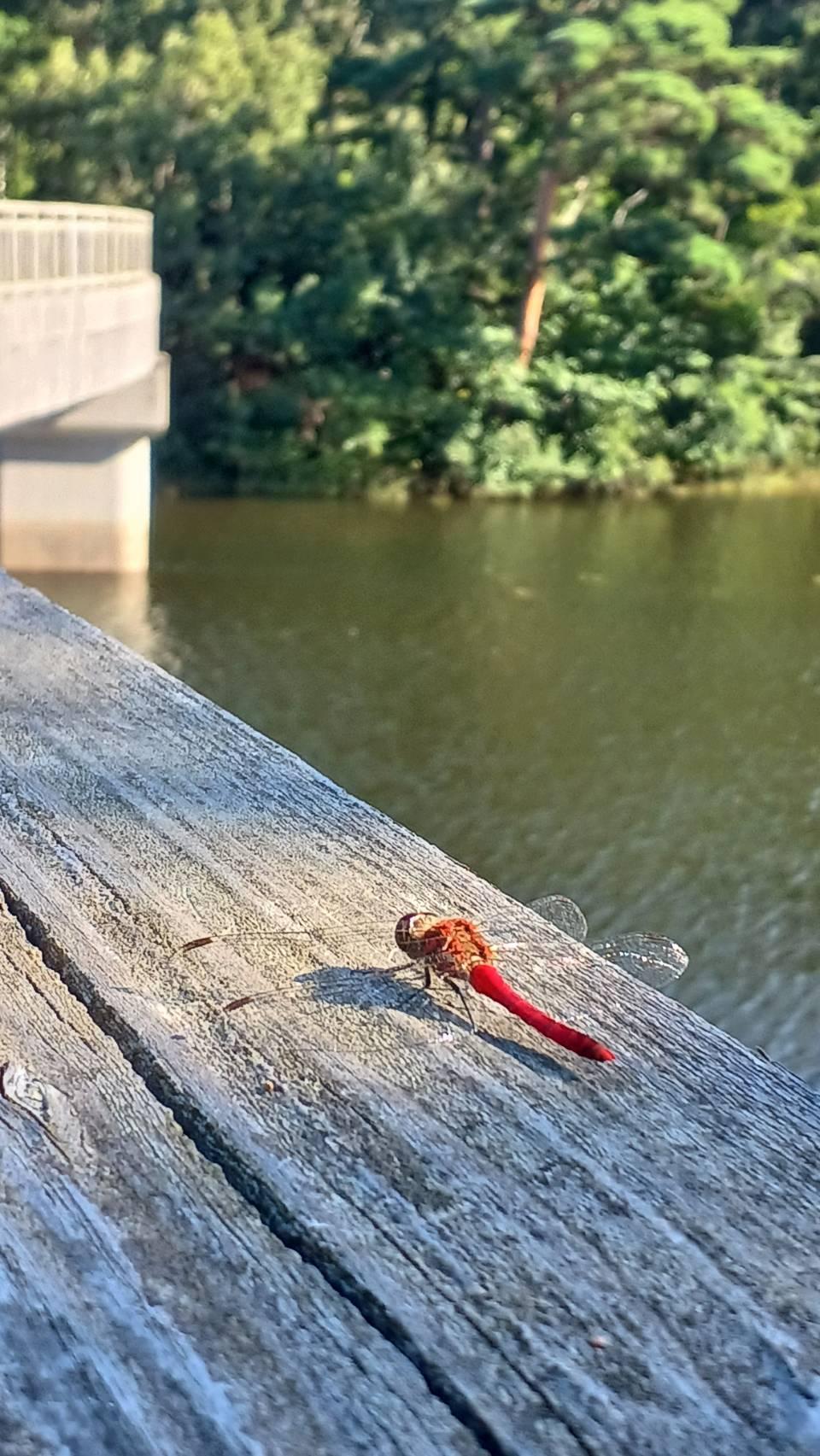 �����E�����Ɍq����h����h��