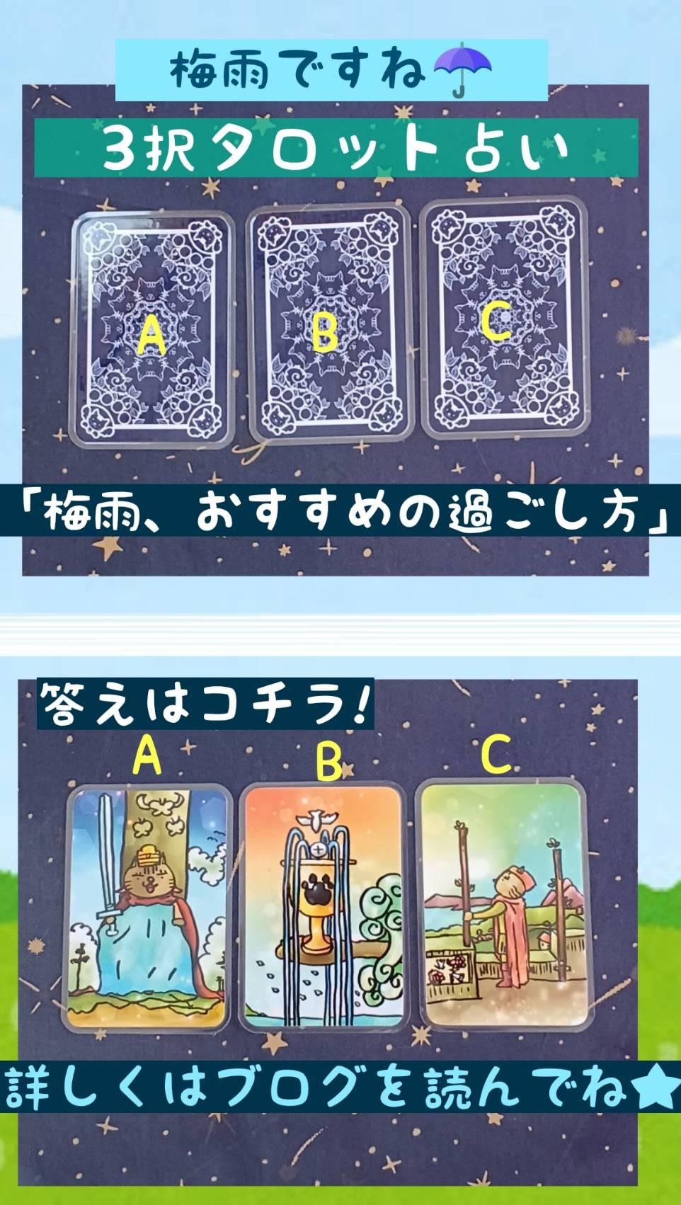 �y�^���b�g�肢�z�~�J�������߂̉߂�����