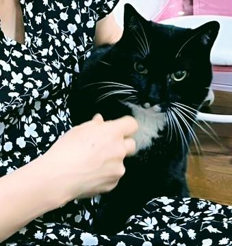 ���̂���