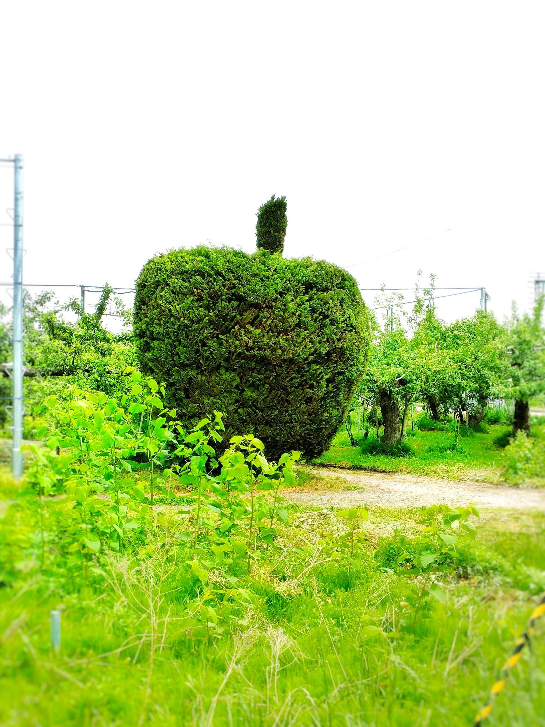 �t�̂��o�����U��Ԃ聙����Ȃ��