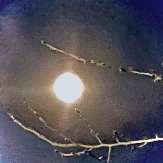 ���͐T�d�ɁB�BR4.5.14����