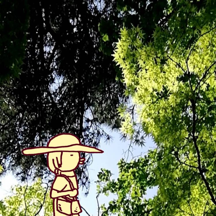 �t���݂����Ēm���Ă܂����H