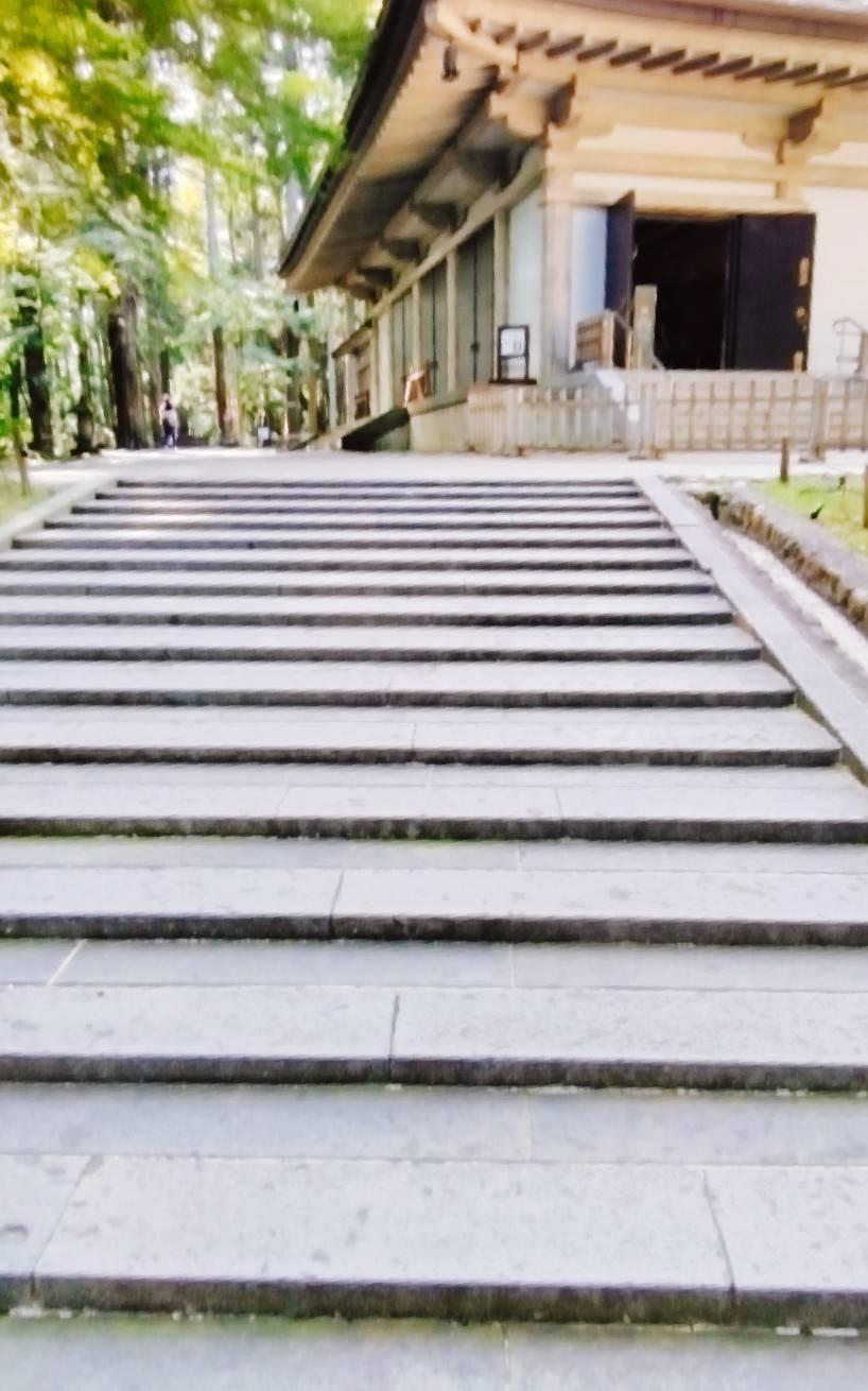 ��藷�s�@����ƌ����΂����I������