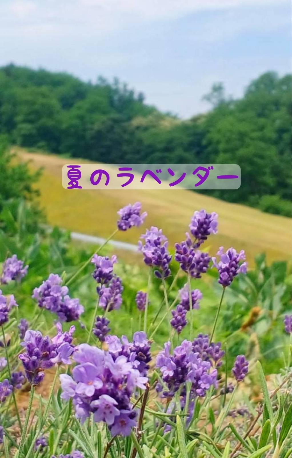 �Ă̓��x���_�[�ŃG�l���M�[��[�I