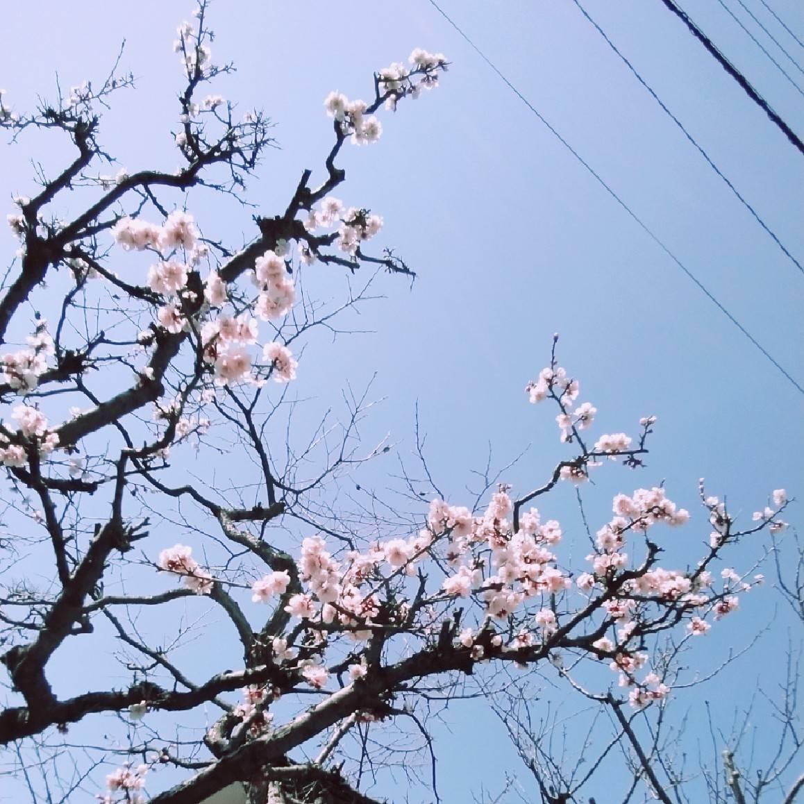 �������l�Ƃ̃����`