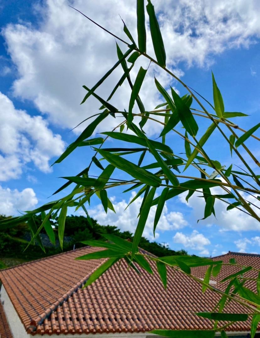 ���[�ł��ˁ�