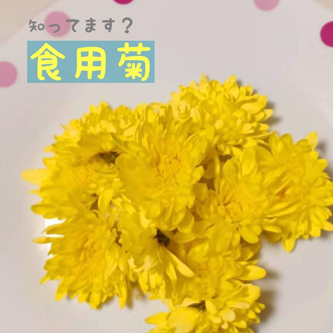 �H�̂����n�l�^�I�u�H�p�e�v