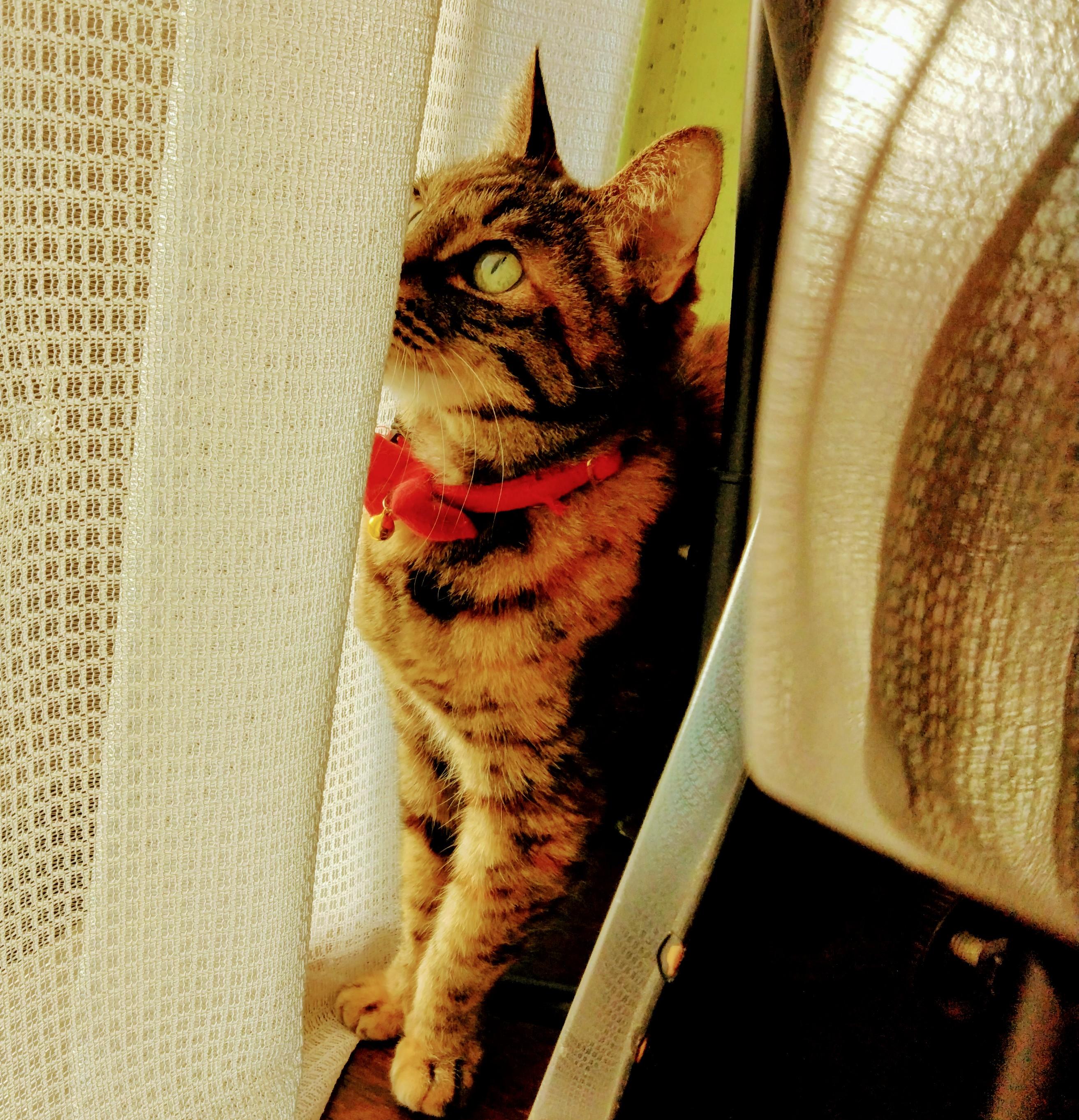 ���̒n���ɂ������