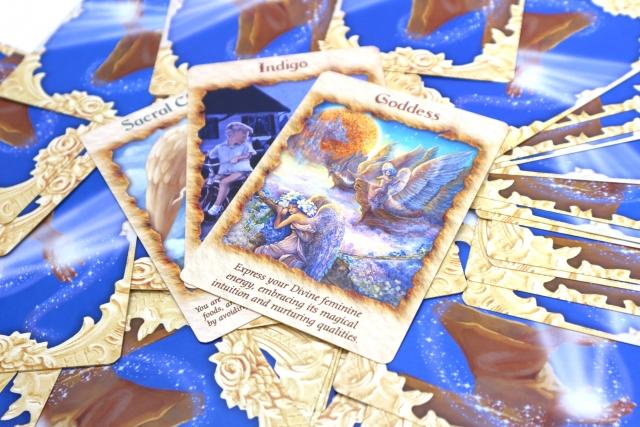 weekly�����ʐ肢 1/2-8