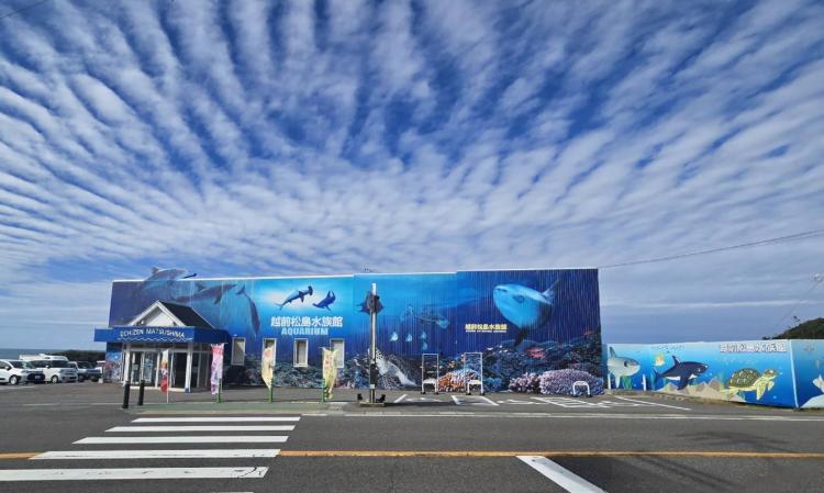 �P�O��17���@�^��