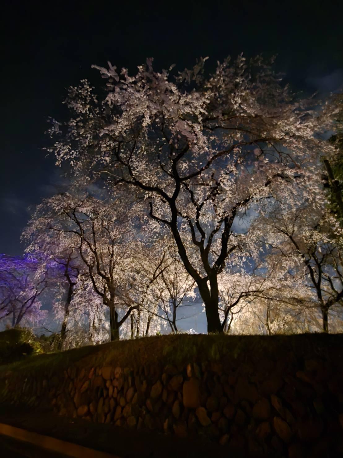 �S���V���@�^��