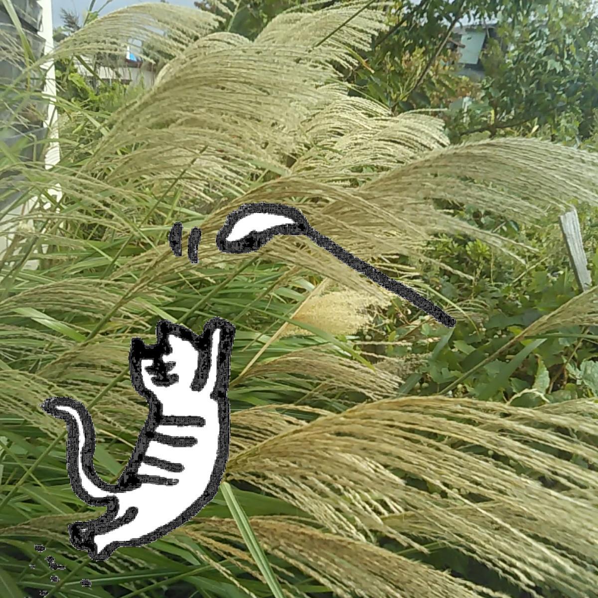 �������������ς��ފݓ���߂�