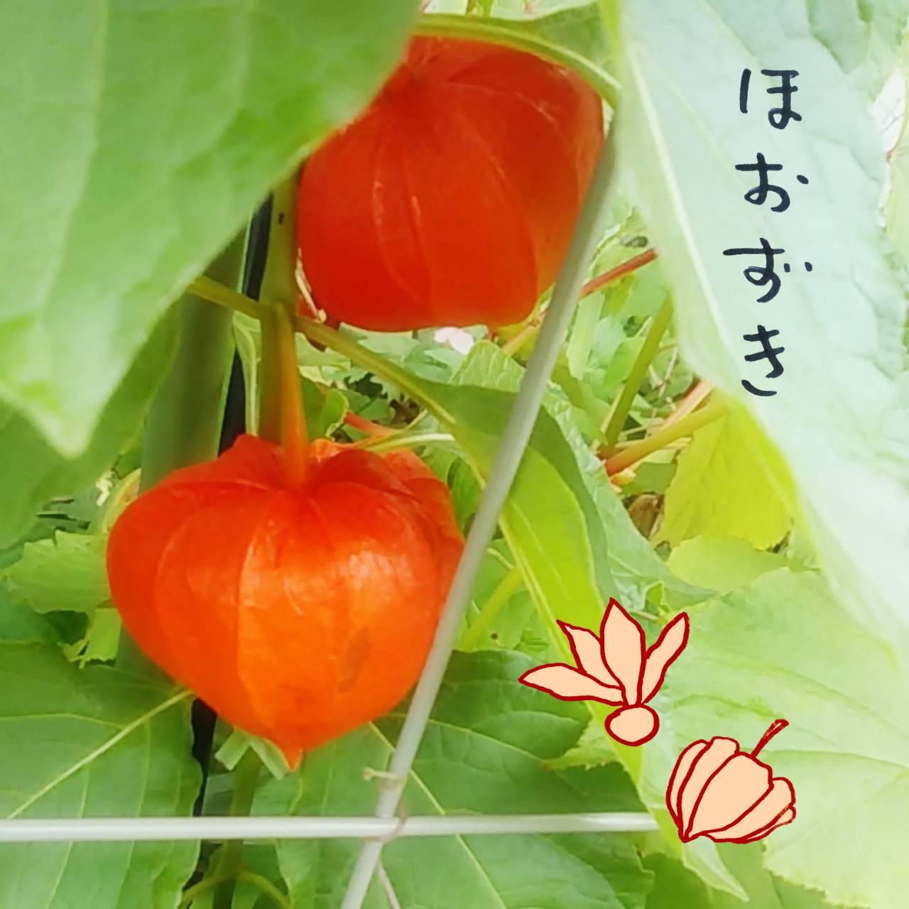 �H�ɂȂ��Ă��ق�����