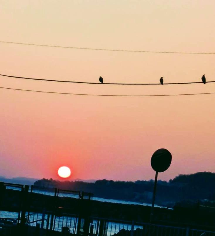 �����܂̂���