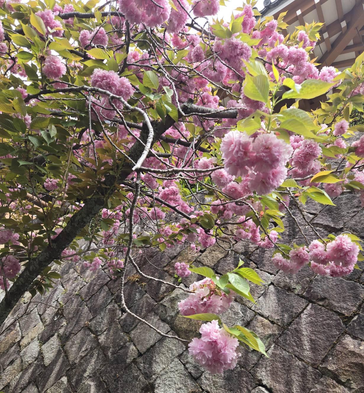 �S��23���@�����^