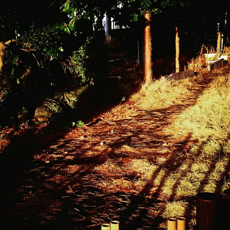 �ɂ�񂲂����[