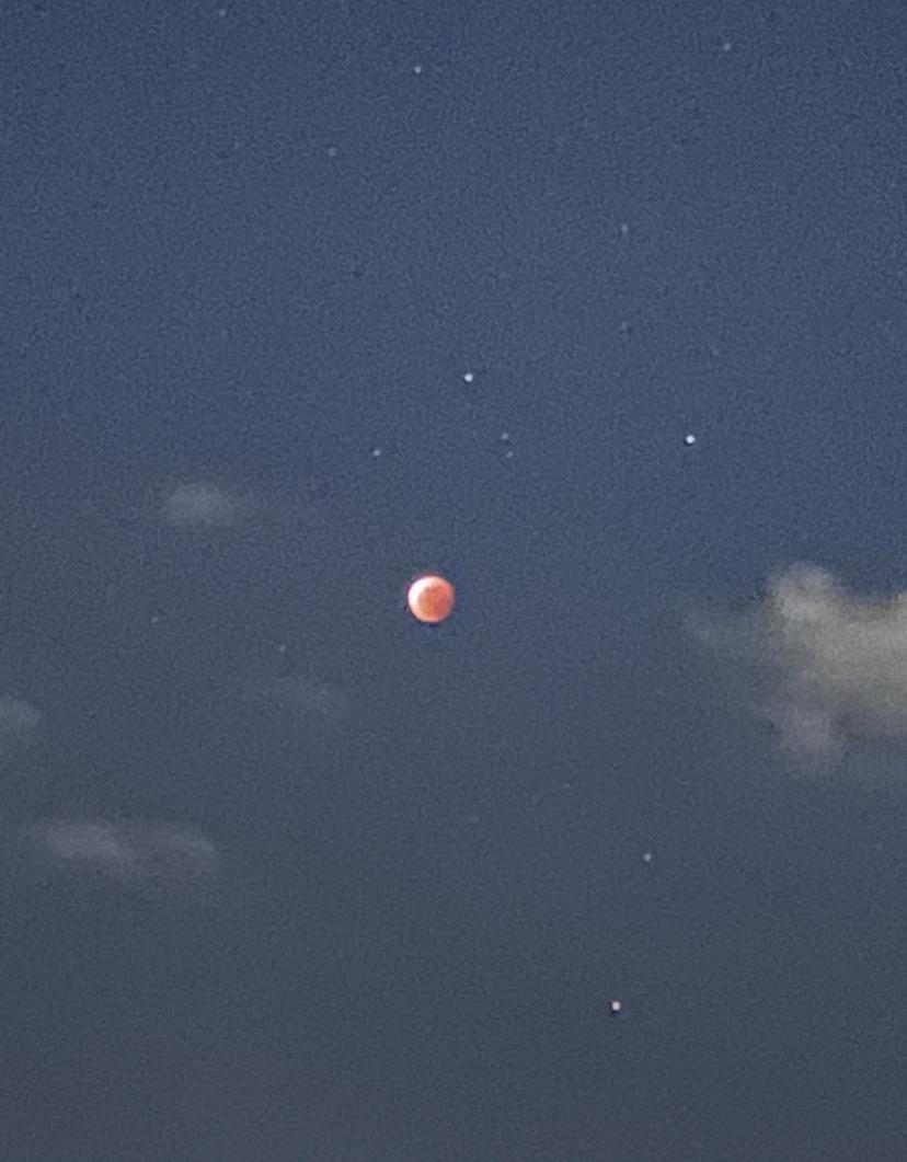 �j���̐S��