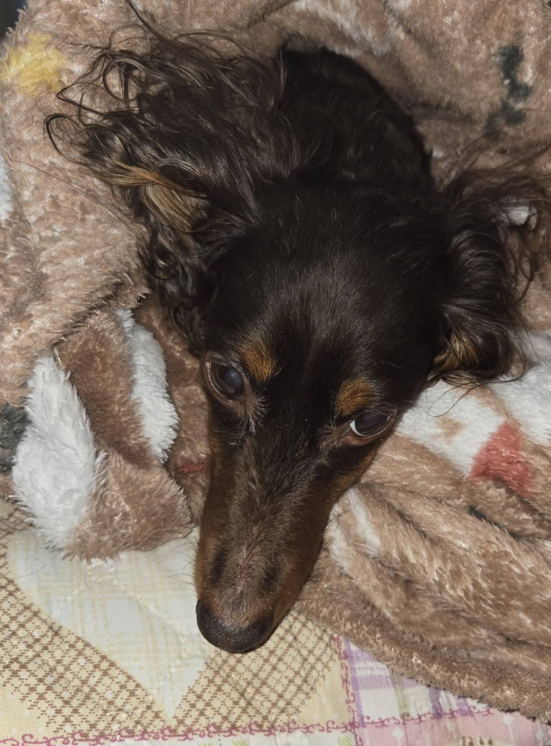 �T��22���@�����^