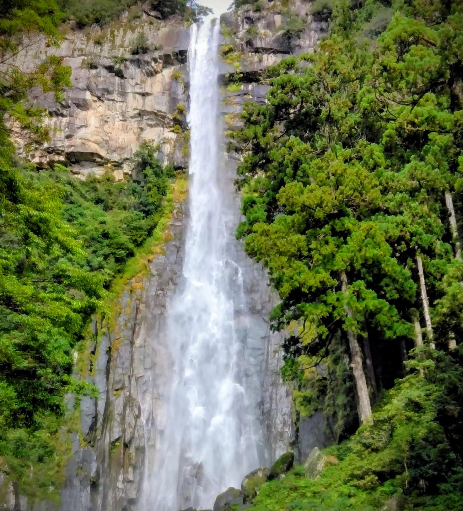 �򉻂�����