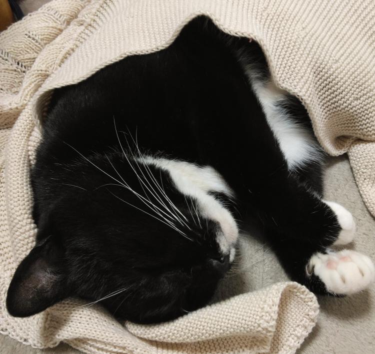 �Q�ڂ������ł�