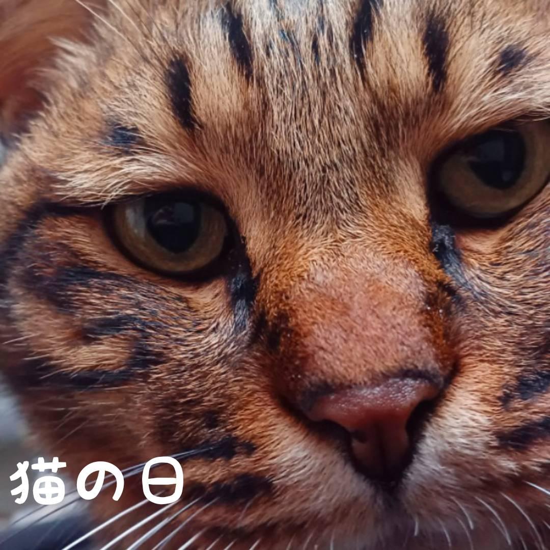 �L�̓��A�����Ɏ�����鎔����