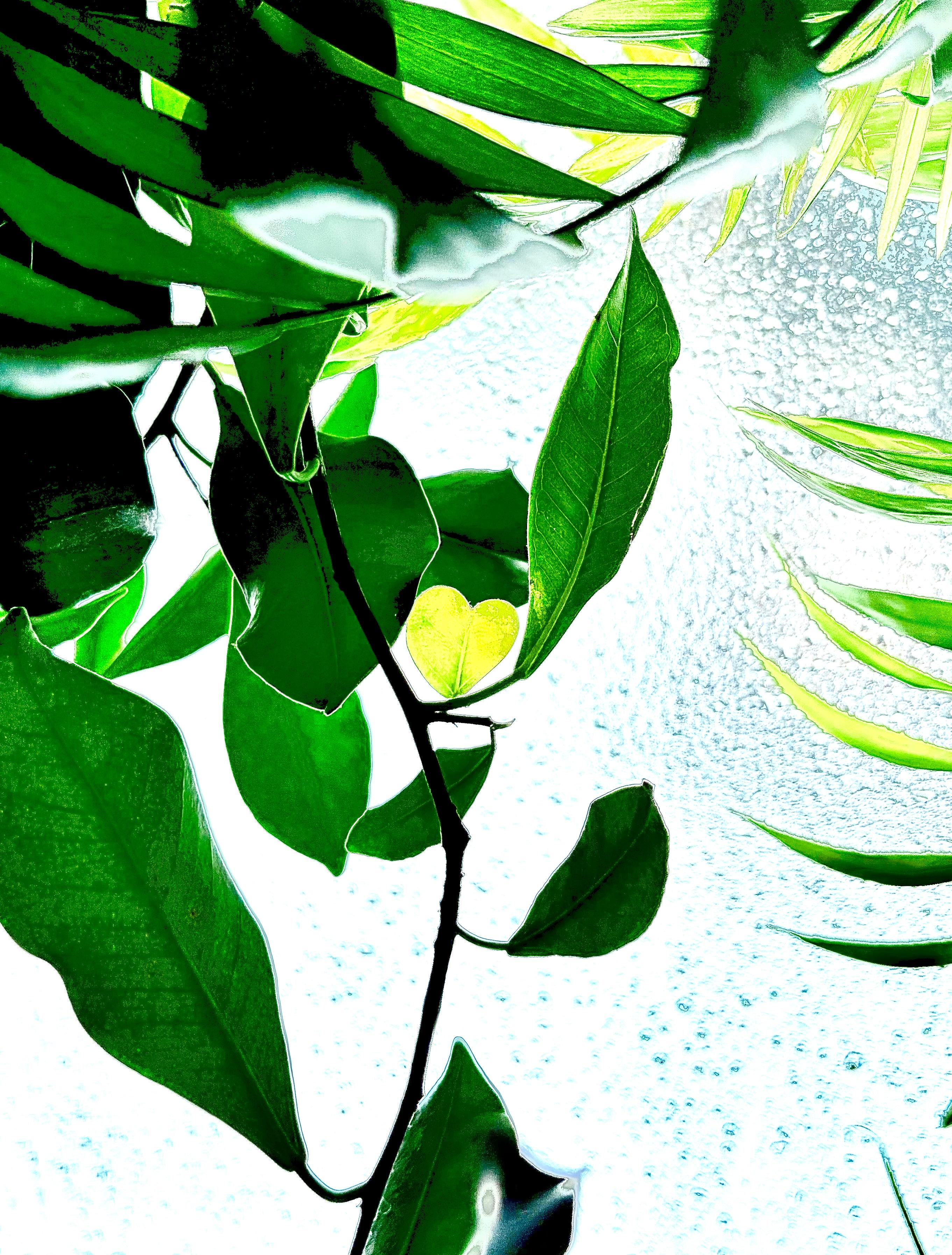 �n�[�g�}�[�N�͓ˑR�ɁH�I