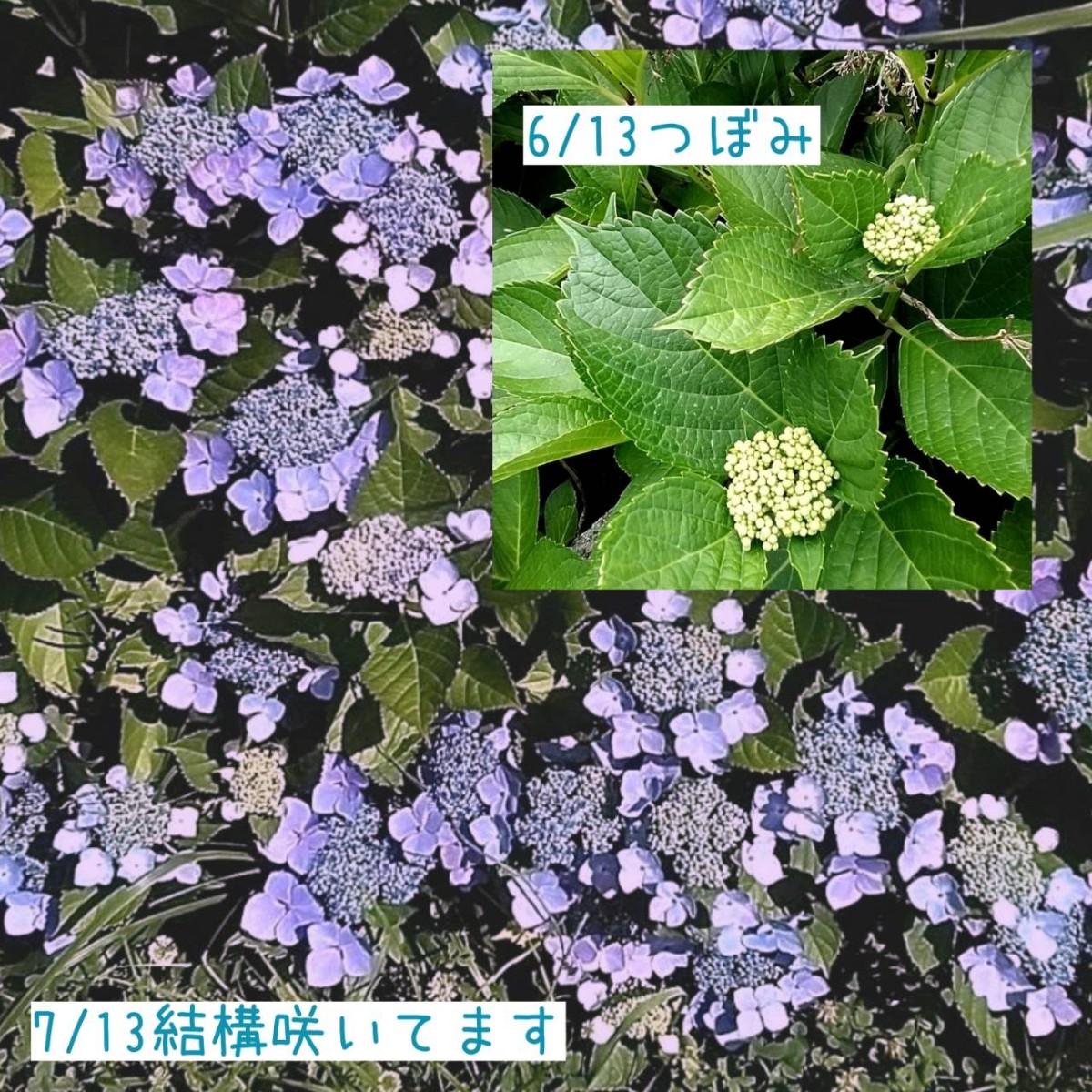 �@���n���ɂ͎��Ԃ�������