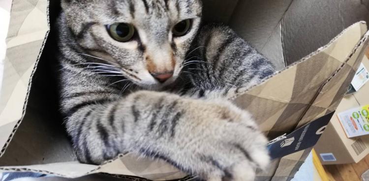 ���n�ɏ�����R�m.R4.1.4.����