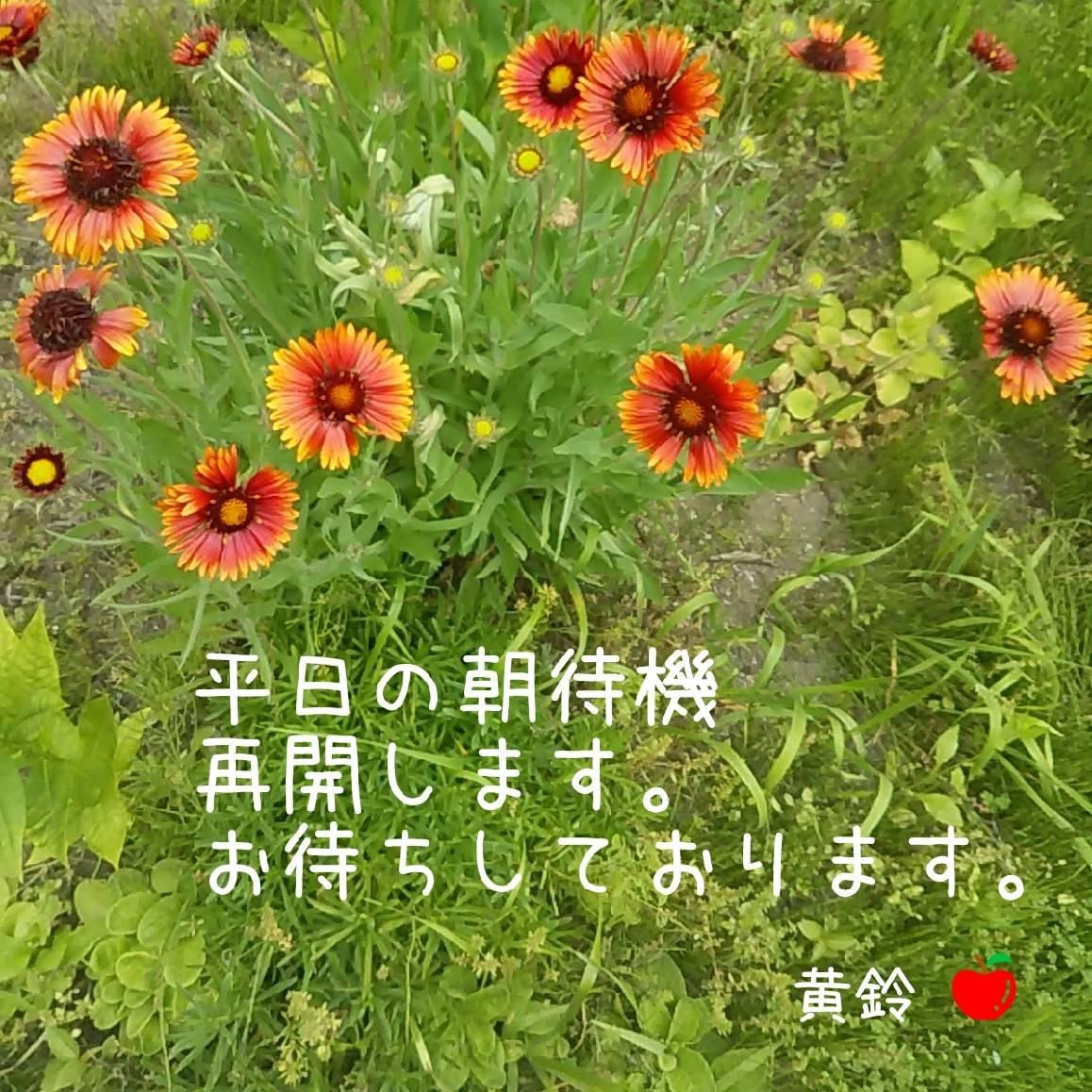 �����̒��ҋ@���Ă���܂�<(_ _)>