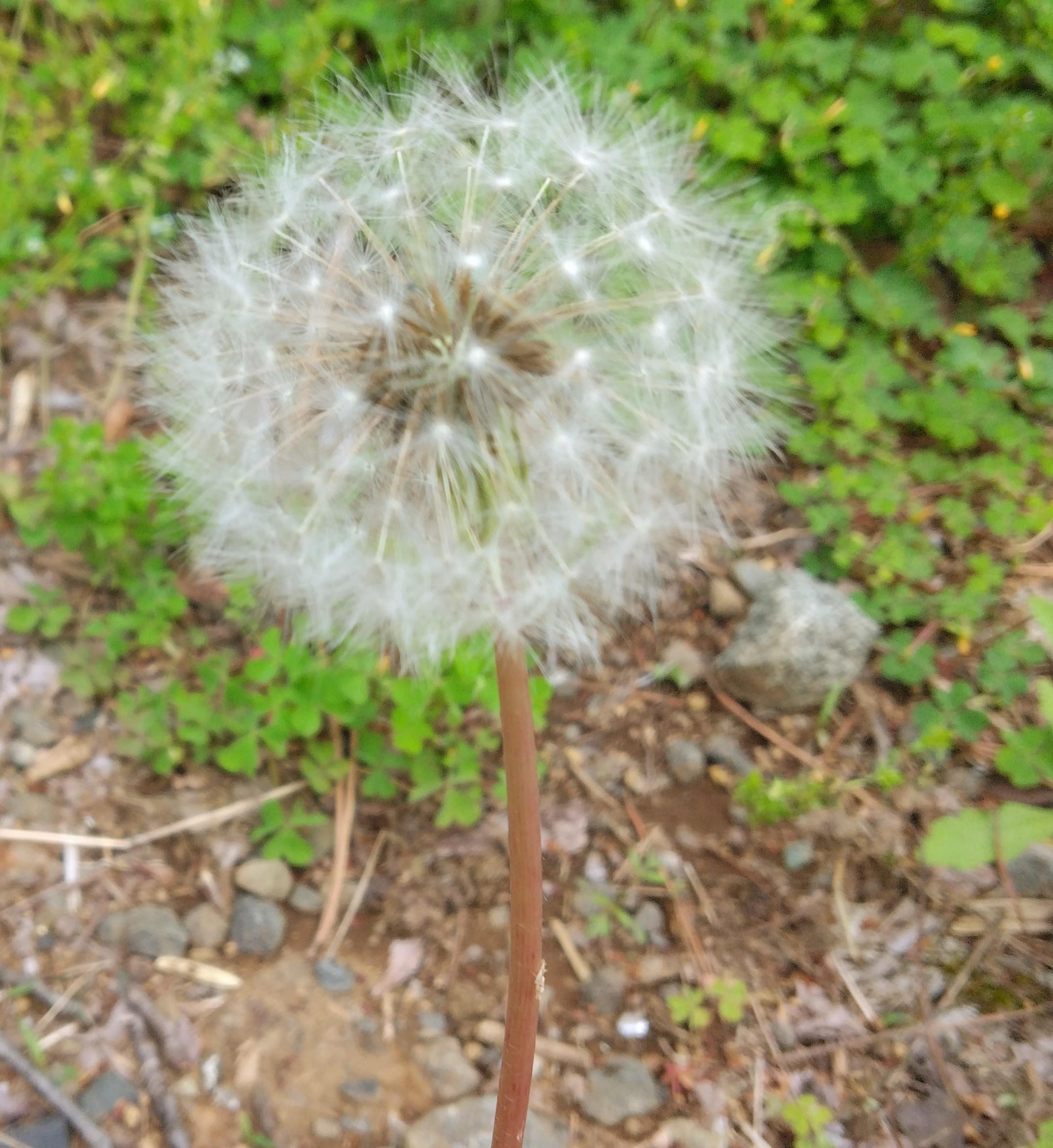 2025�N4���̐V���ɂ��邱��