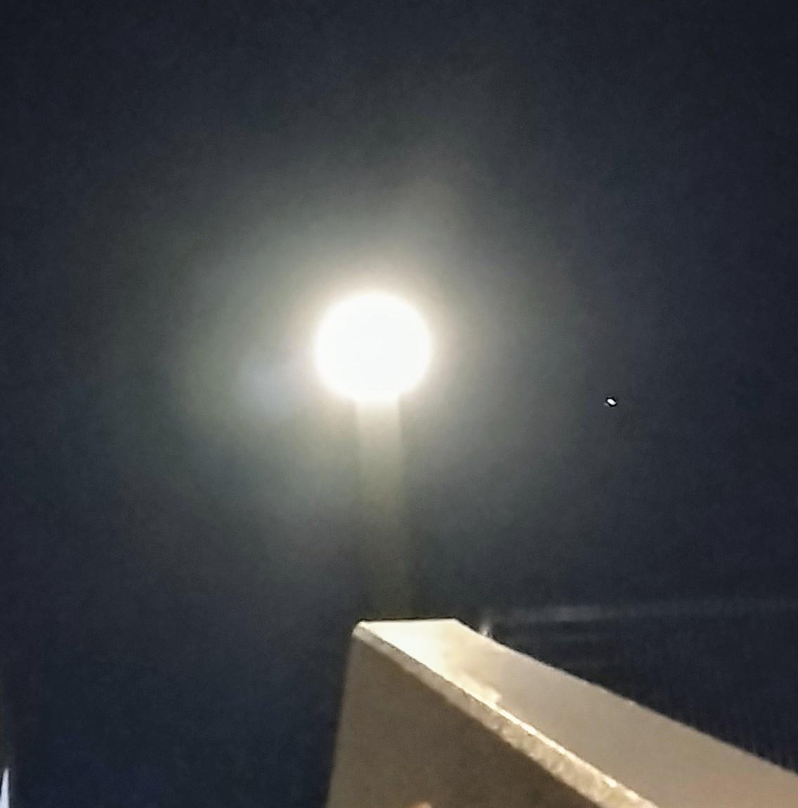 �����̂������z��