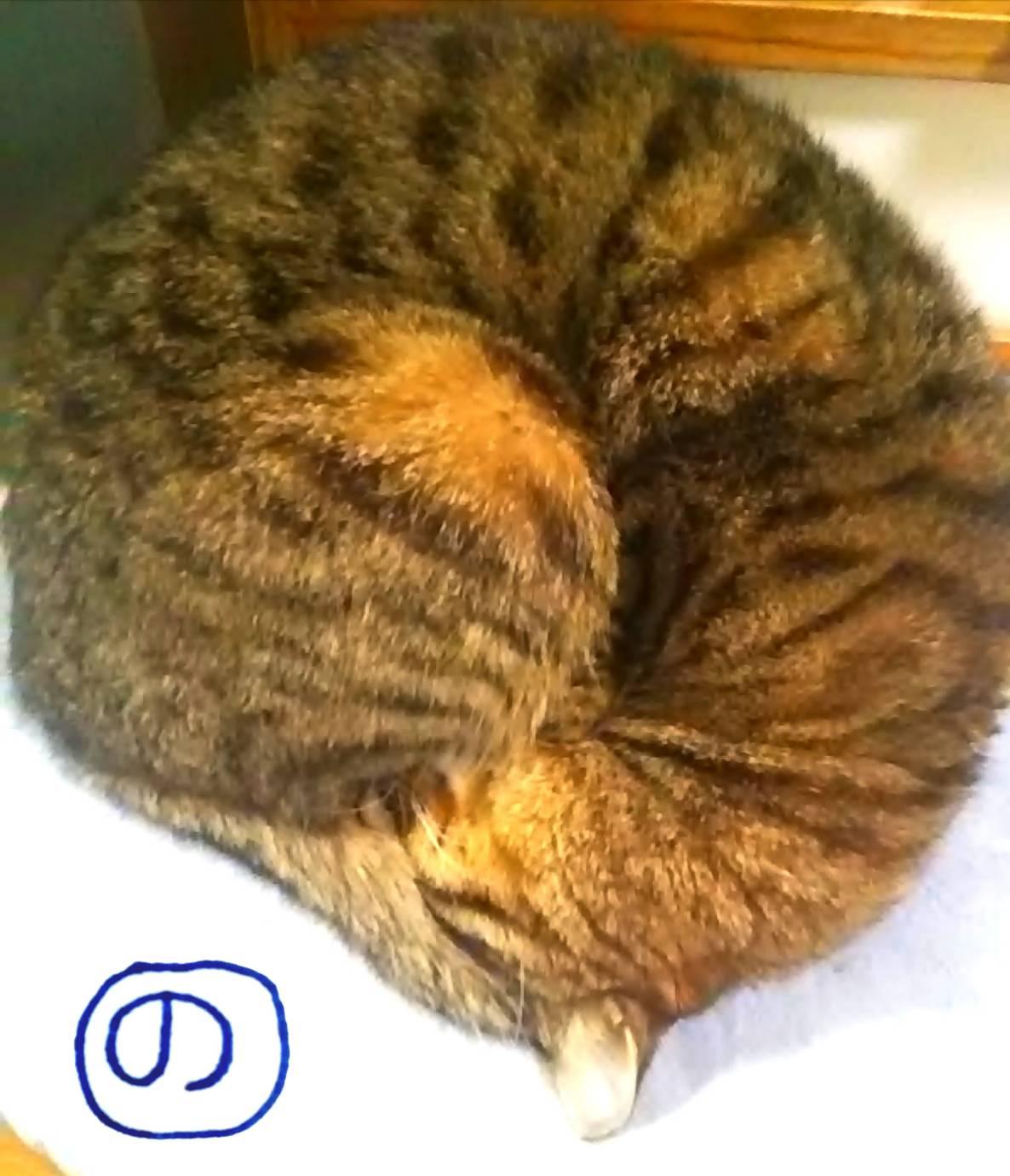 ���邮��̂�܂��L