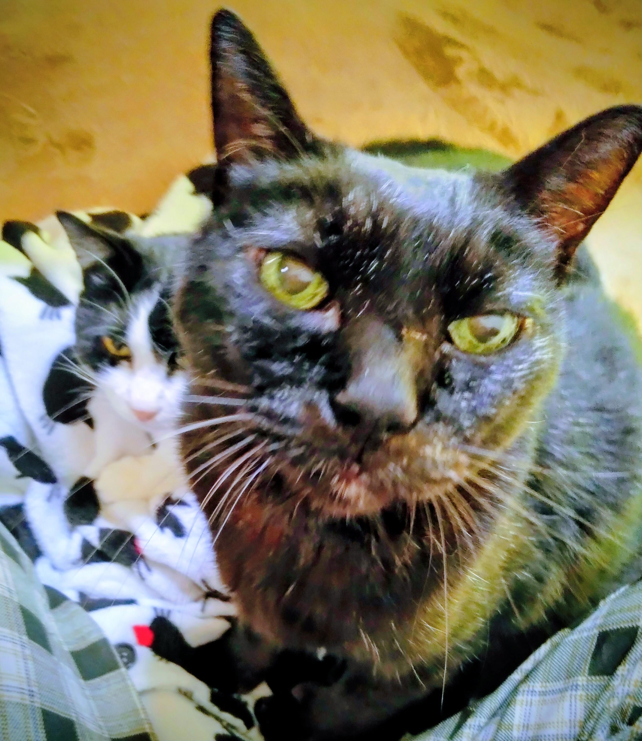 �ނ������ɗ���