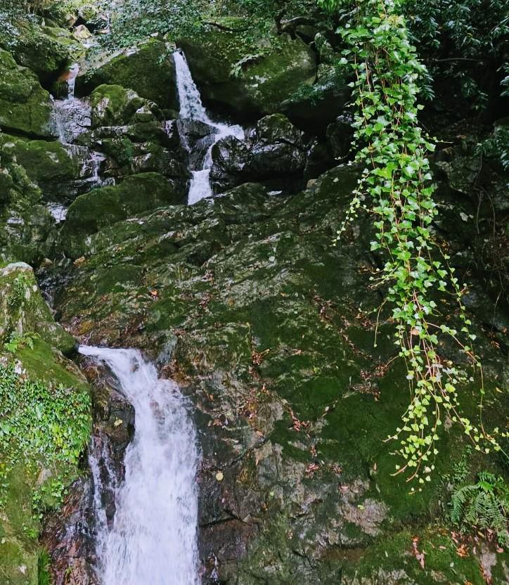 ���ԂƎ���̔g���̋��Ԃ�