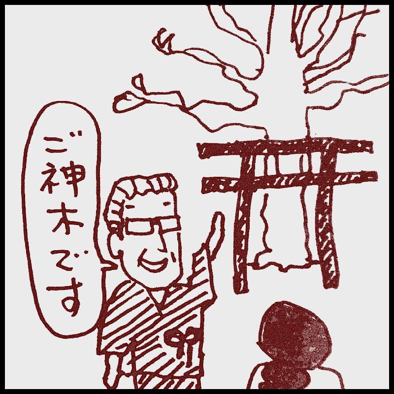 ���n�K��