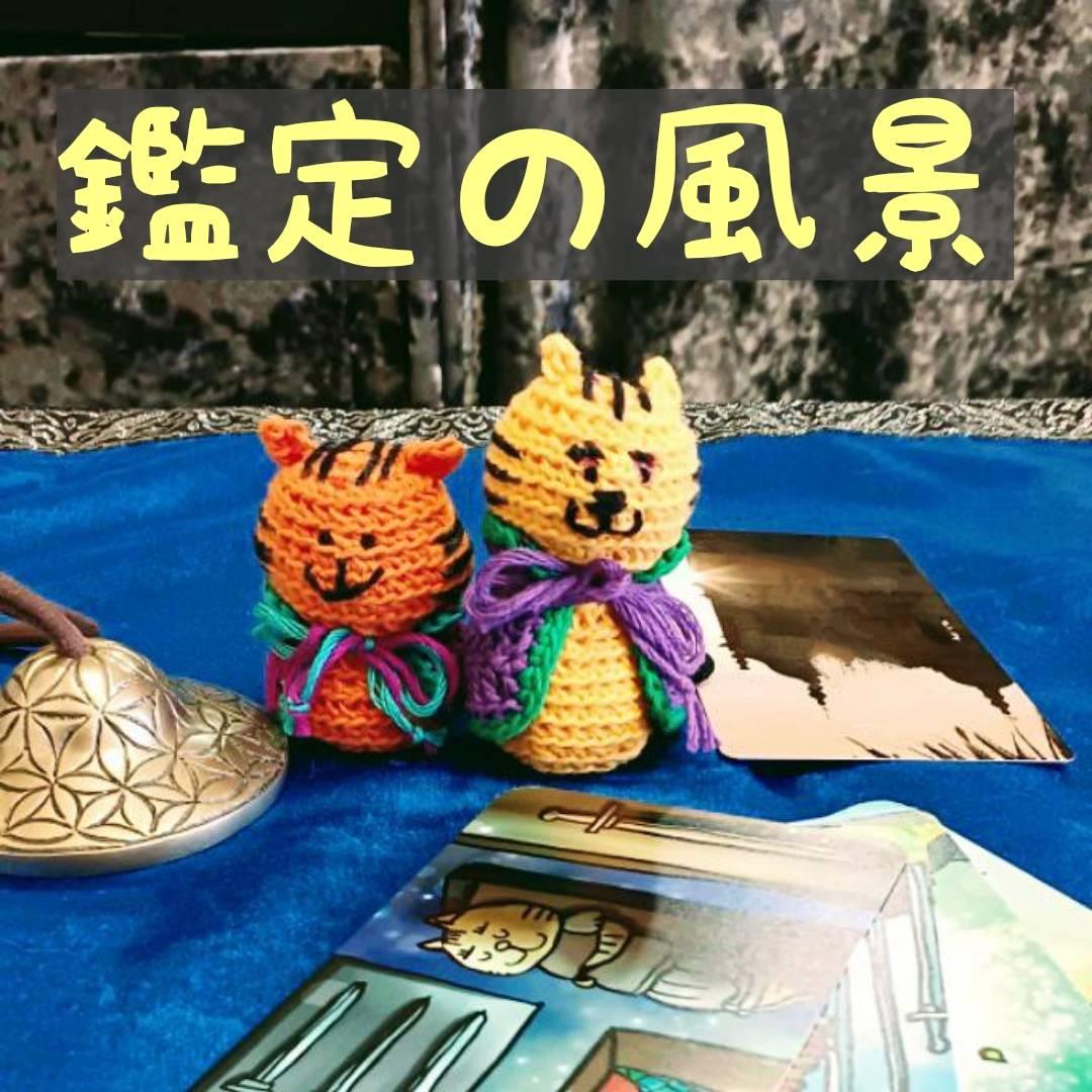 ���ۂ͂ǂ��������ɊӒ肵�Ă���́H