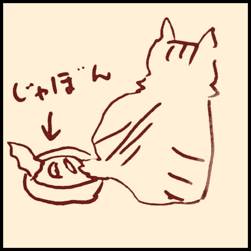 ガサツな女子猫